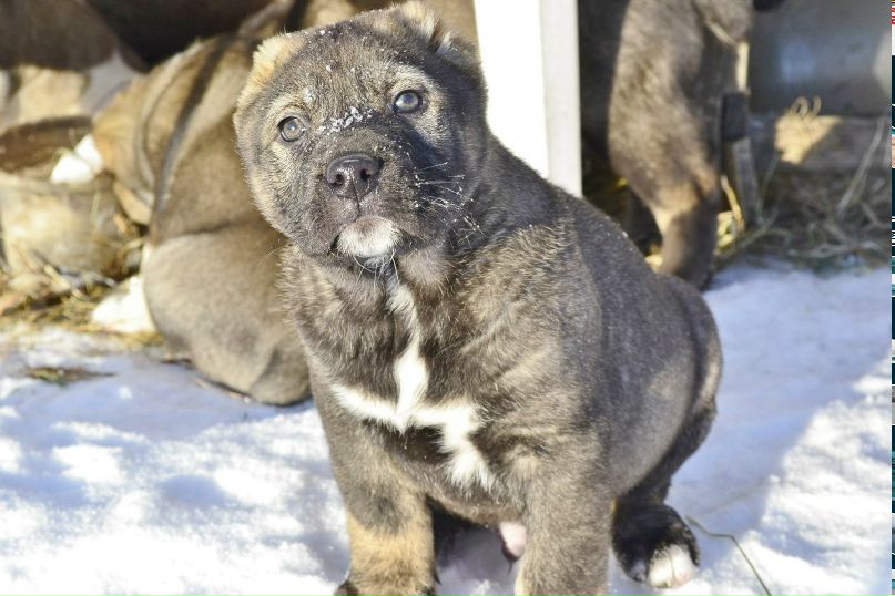 Светлана Степанюк Вячеславна | Головково