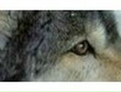 Юлия Экзархо | Мариуполь