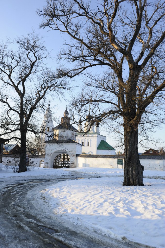 Павел Лебедев | 