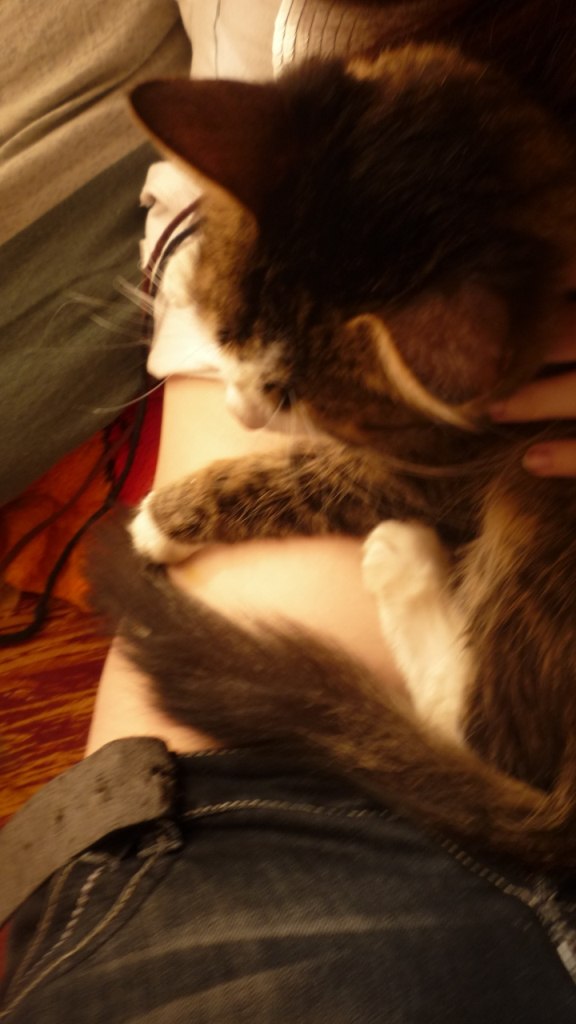 Мария Гордечук | Воронеж