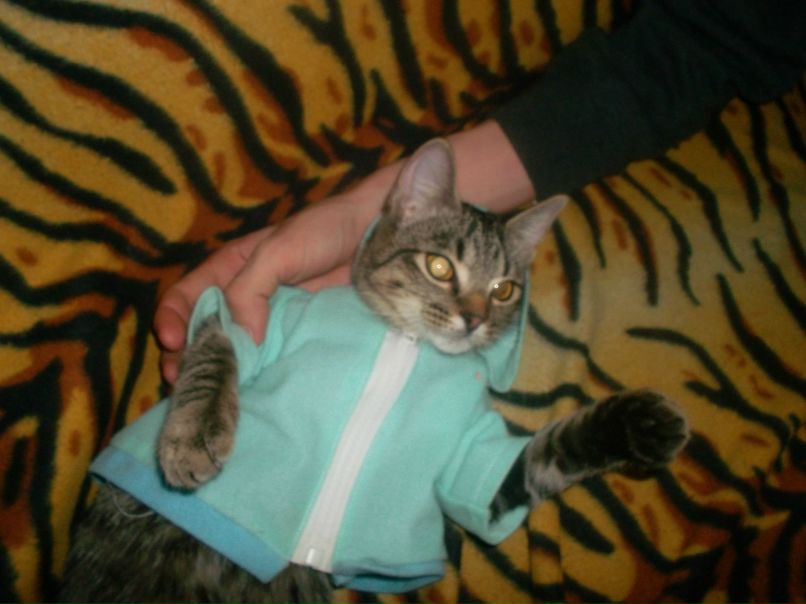 Екатерина Шерстнёва | Новосибирск