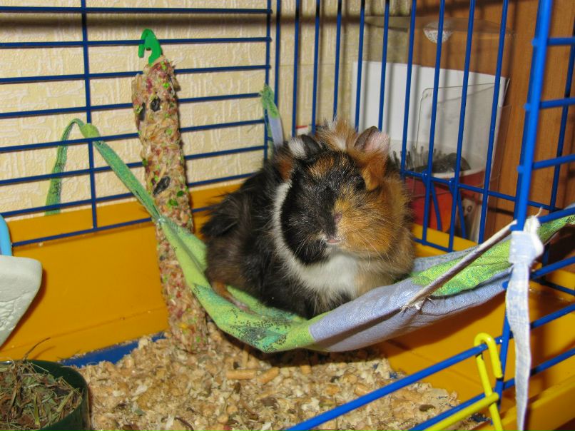 Надежда Устименко | Энергодар