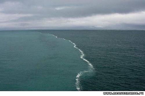 Галина Максимычева | Санкт-Петербург