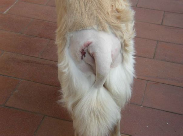 №7, Victor Ghela, 57 лет, Firenze №7, Victor Ghela, 57 лет, Firenze