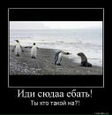 Фотография Максим Даронин
