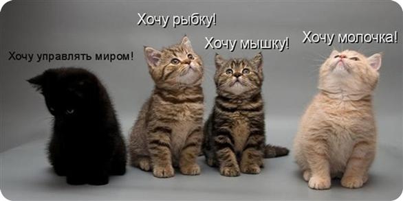 Юлия Печерская фото профиля #121