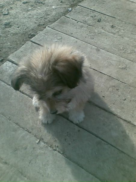 №2, Павел Попов №2, Павел Попов