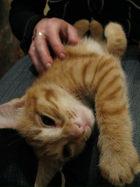 №17, Анастасия Филиппова, Москва №17, Анастасия Филиппова, Москва