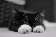 №16 Ирина Шишлова 23.06.1984: профиль, фото, статус - ВКонтакте