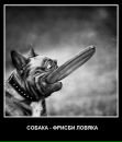 №40 Полина Сикора 01.03.1992: профиль, фото, статус - ВКонтакте №40 Полина Сикора 01.03.1992: профиль, фото, статус - ВКонтакте