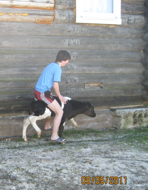 №61, Илья Денисенко, Санкт-Петербург №61, Илья Денисенко, Санкт-Петербург