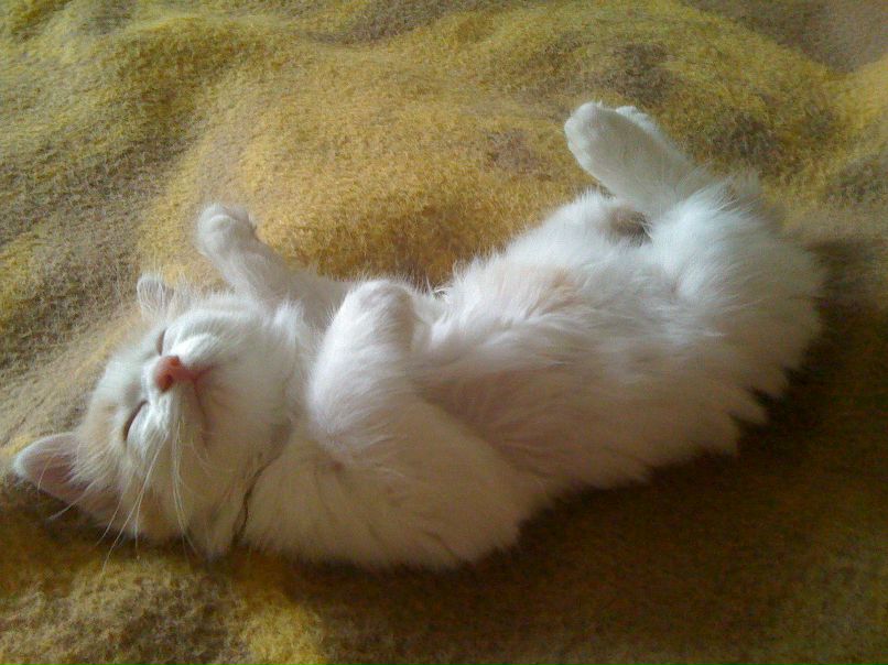 Марина Передерий | Полтава