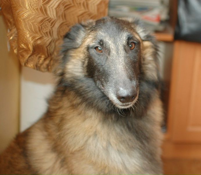 №13, Зоя Шарова, Киев №13, Зоя Шарова, Киев