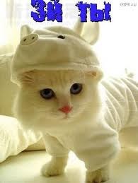 Дмитрий Колистратов | Омск