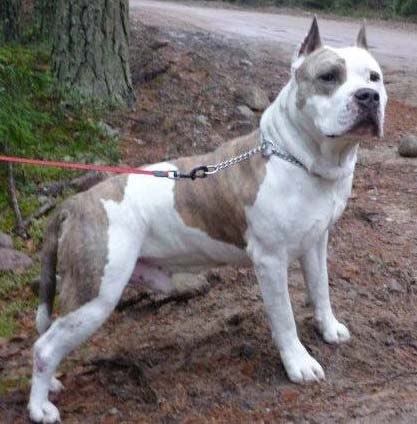 Жанна Золотухина 