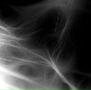 Иришка Скородумова | Волоколамск