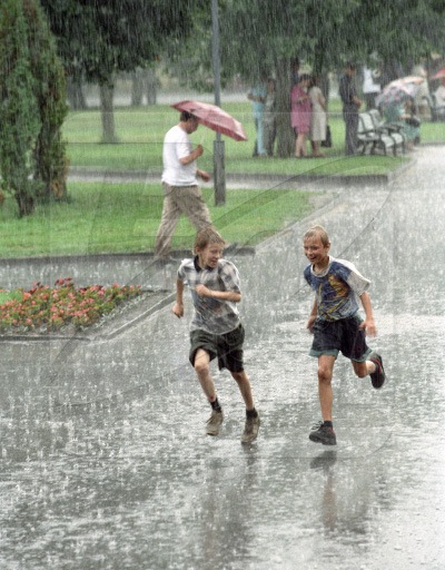 №8, Furball Cat №8, Furball Cat