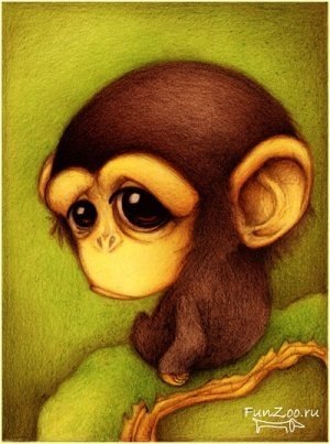 Аннушкацветочек Васильева | Москва