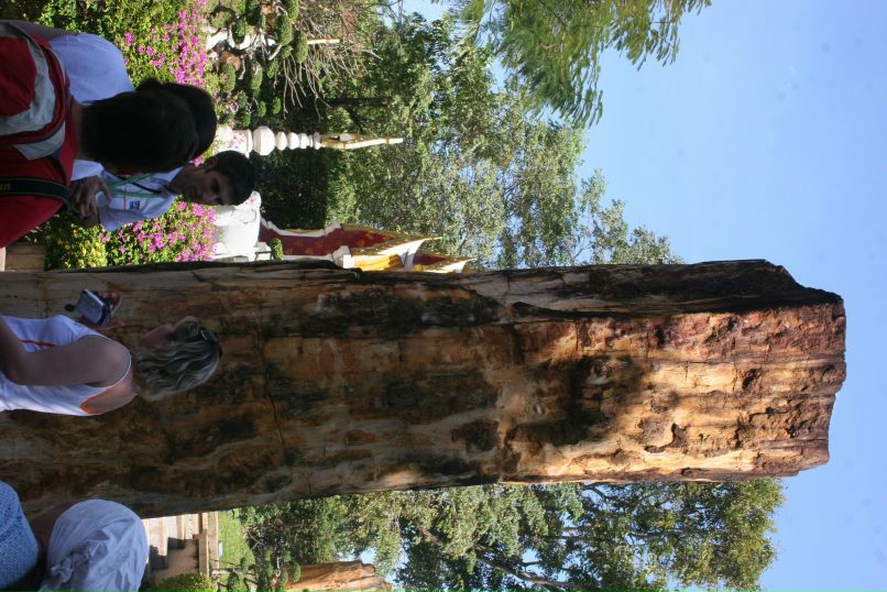 Артем Сывороткин | Екатеринбург