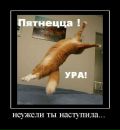 №35 Татьяна Смирнова : профиль, фото, статус - ВКонтакте №35 Татьяна Смирнова : профиль, фото, статус - ВКонтакте
