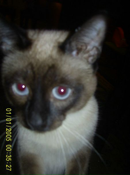 №38, Раймонд Козлов, 42 года, Санкт-Петербург №38, Раймонд Козлов, 42 года, Санкт-Петербург