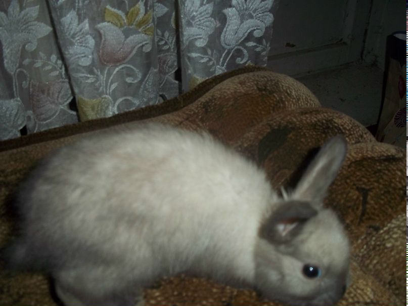 Алёна Кузнецова | Санкт-Петербург