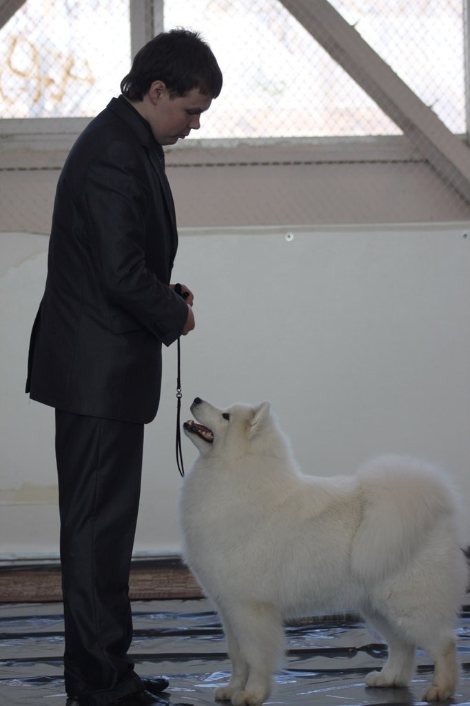 Егор Смолдырев | Иннополис