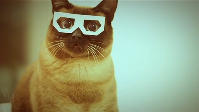 Виктория Алексеевна | Санкт-Петербург