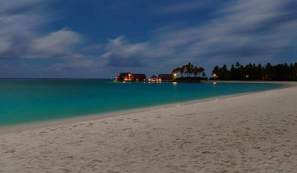 №16, Tom Kaulitz, 36 лет, Los Angeles №16, Tom Kaulitz, 36 лет, Los Angeles