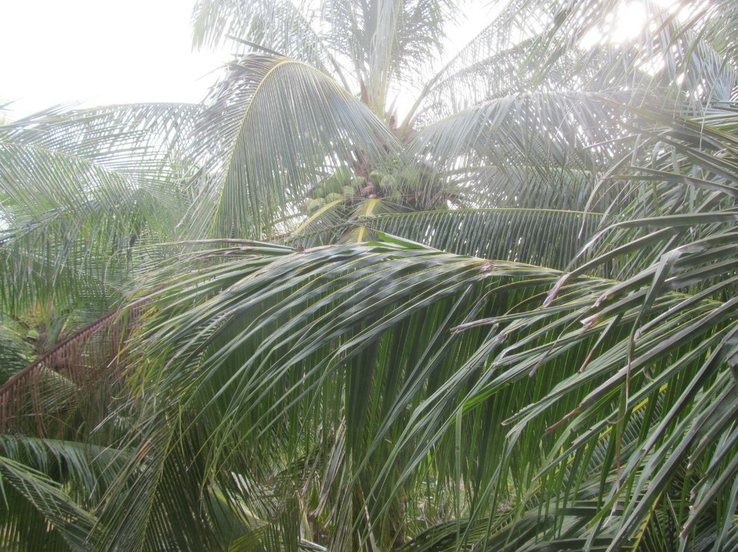 Наталия Пилипенко | Санкт-Петербург