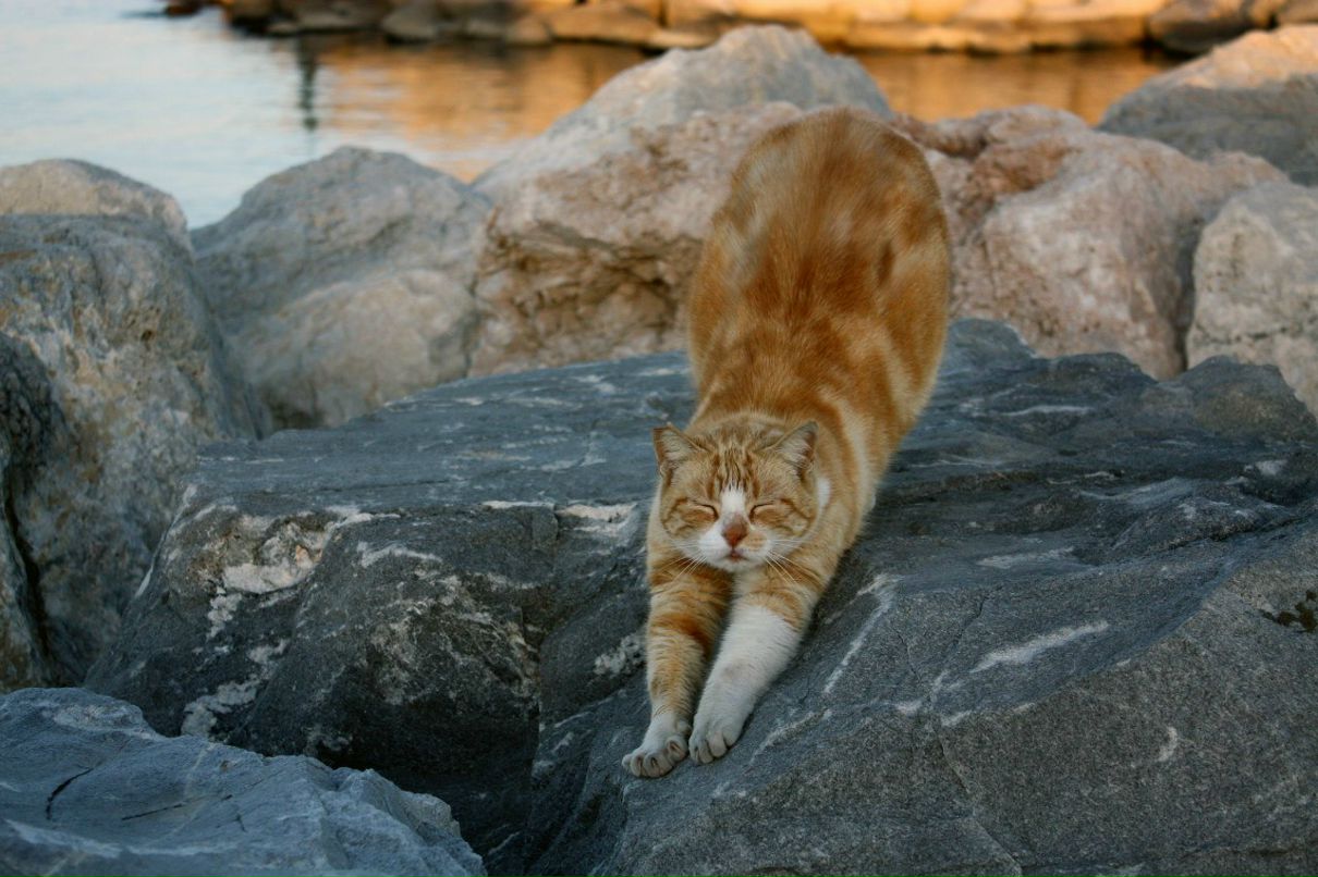 Елена Жандарук | Москва