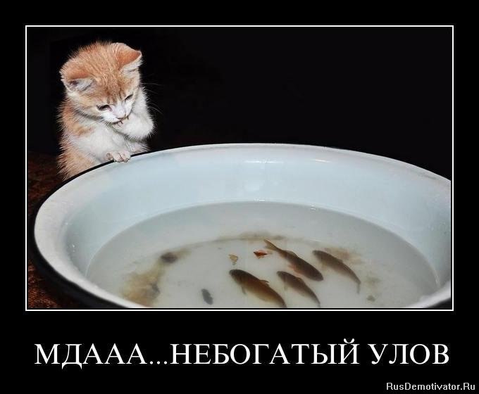 Наталія Ольшанецька ♫ ♪ ♬ | Львов