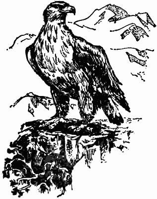 Сергей Орлов | Астрахань