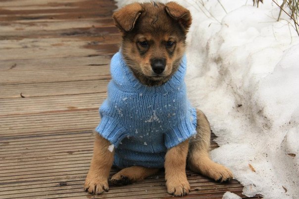 Лара Королева | Москва