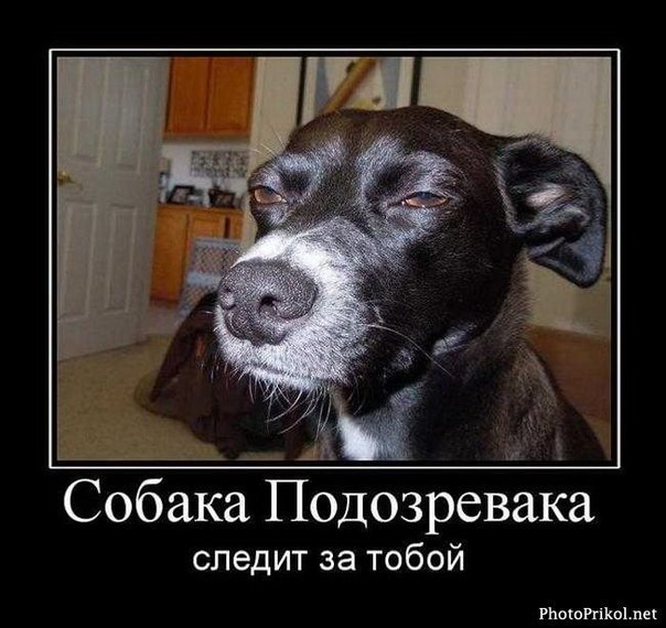 Павел Квасов | Пермь