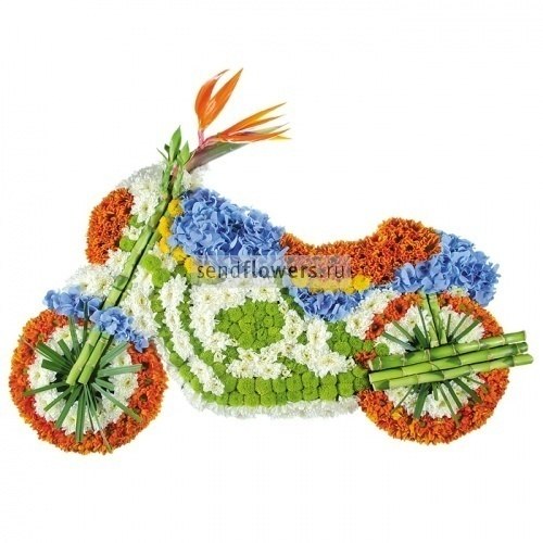 Елена Волкович | Оленегорск