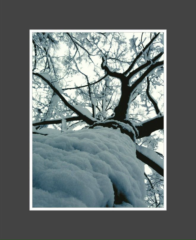 Сергей Петров | Киев