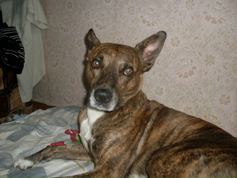 Ильвир Газизов | Бураево