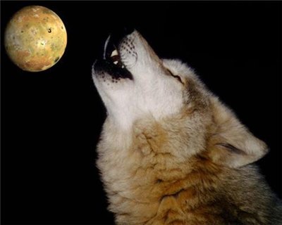 №3, Николай Πанков, Иерусалим №3, Николай Πанков, Иерусалим