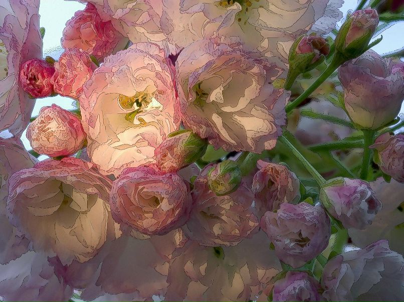 Anna Sandberg [♥AGATA♥] | Stockholm