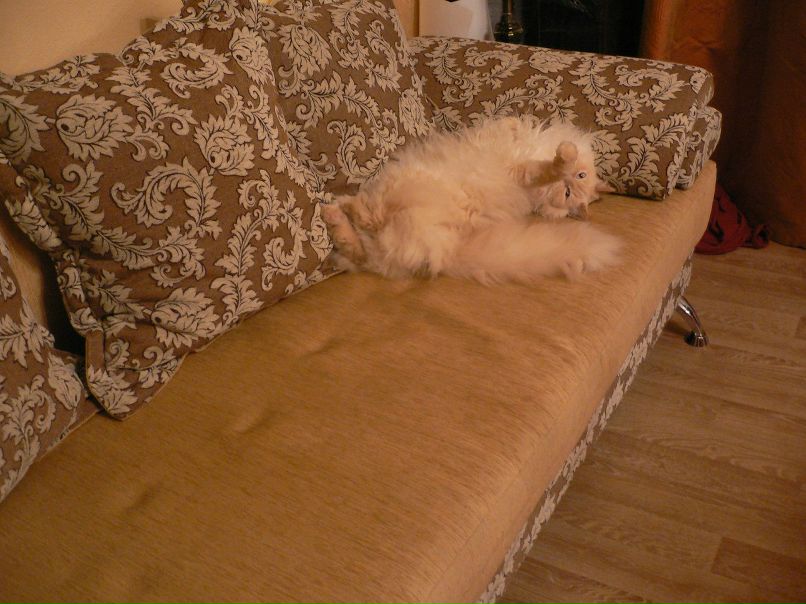 Марина Усова | Уфа