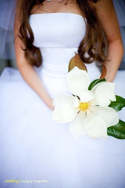 Лилия Лукманова | Красноярск