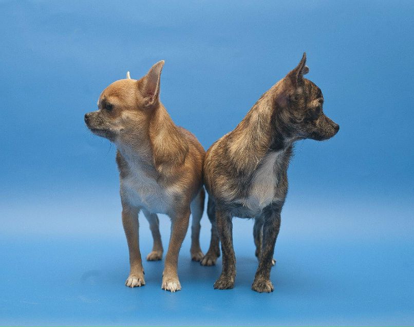 Мария Высоцкая | Санкт-Петербург