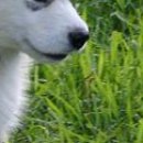 №67, Камилла Муратова, Казань №67, Камилла Муратова, Казань