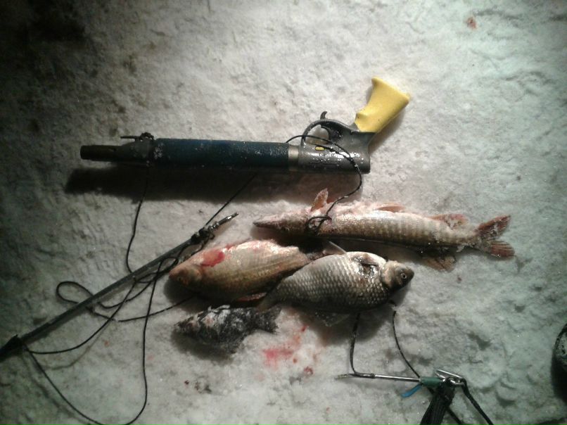 Александр Белоусов | Йошкар-Ола