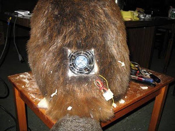 №47, Александр Петров, Киев №47, Александр Петров, Киев