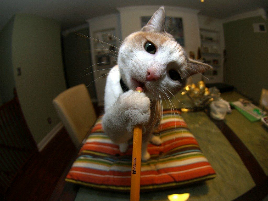 Андрей Багров | Санкт-Петербург