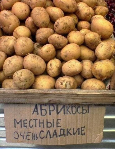 №45, Кристина Петах №45, Кристина Петах