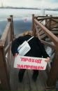 №8 Елена Ефимова : профиль, фото, статус - ВКонтакте №8 Елена Ефимова : профиль, фото, статус - ВКонтакте