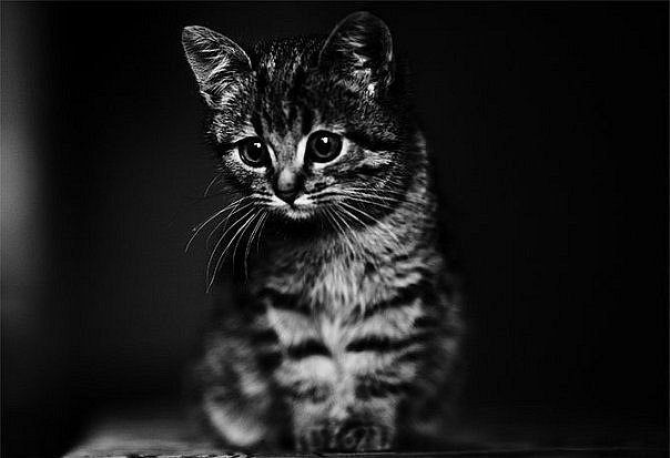 Евгения Телегина | Оренбург